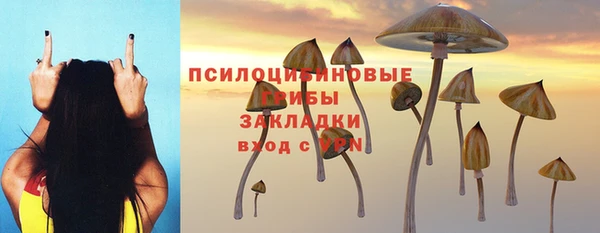 кристаллы Краснослободск