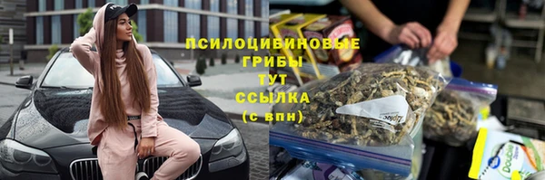 кристаллы Краснослободск
