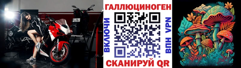 наркота  Хасавюрт  Галлюциногенные грибы Psilocybine cubensis 