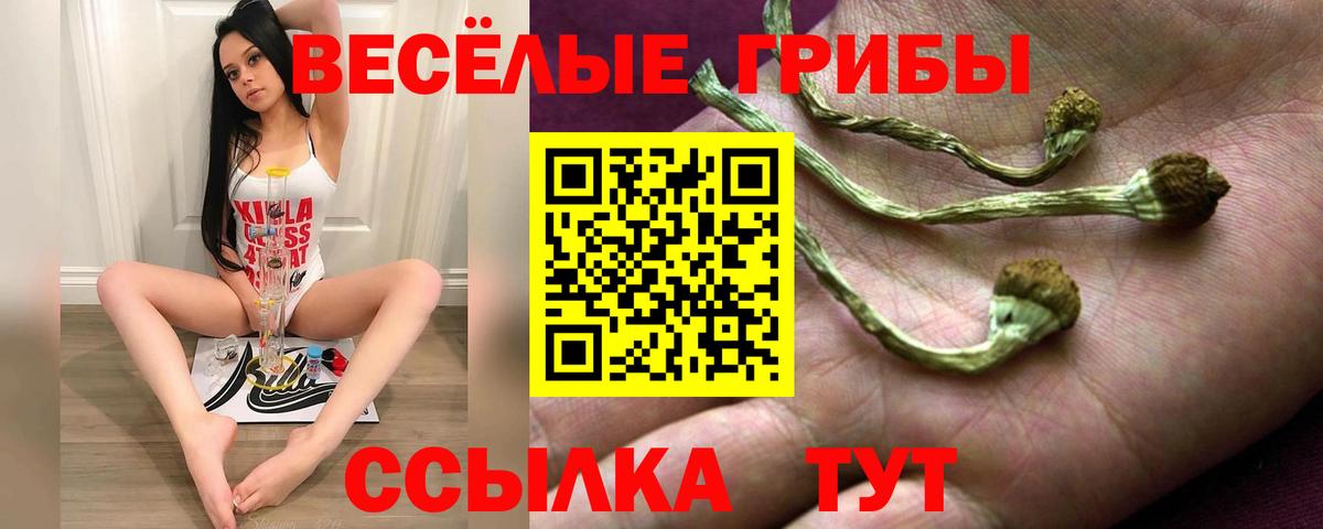 Галлюциногенные грибы GOLDEN TEACHER Хасавюрт